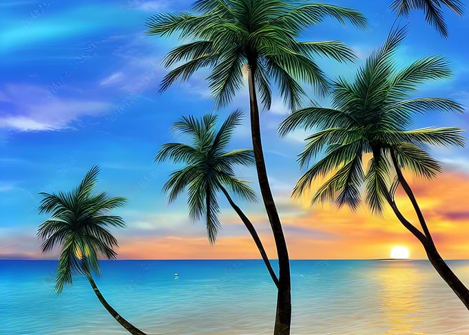 Palm Sea Beach by Sunset