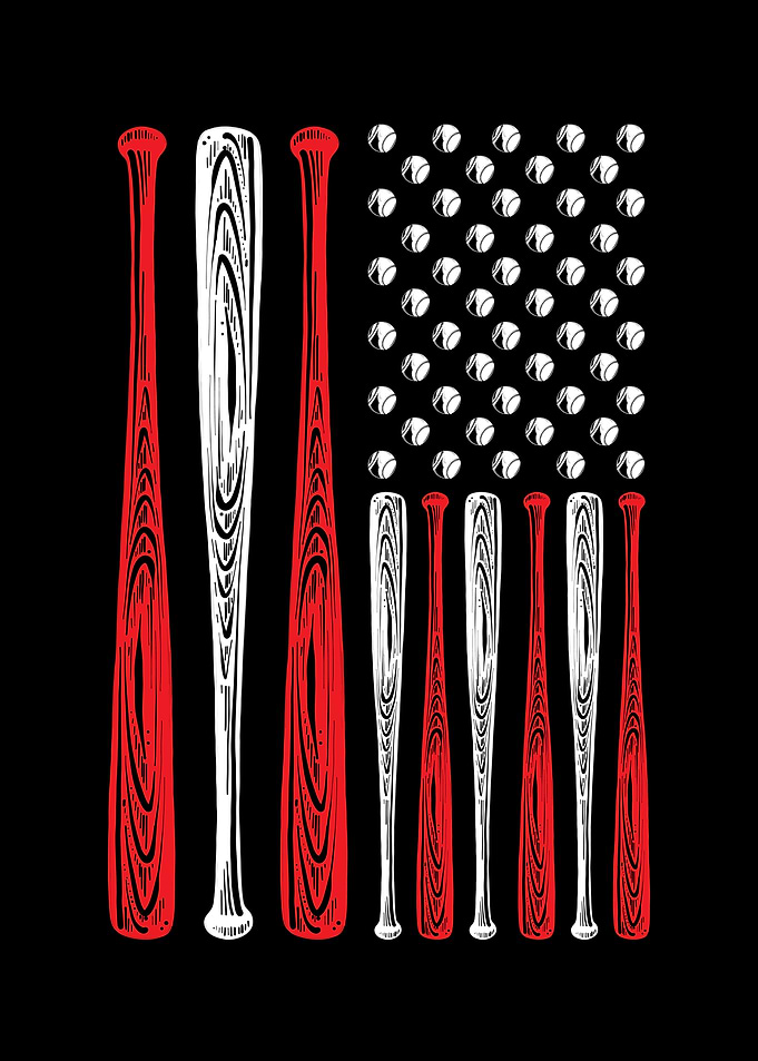 Baseball Lover USA Flag
