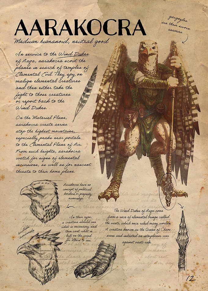 Aarakocra Note