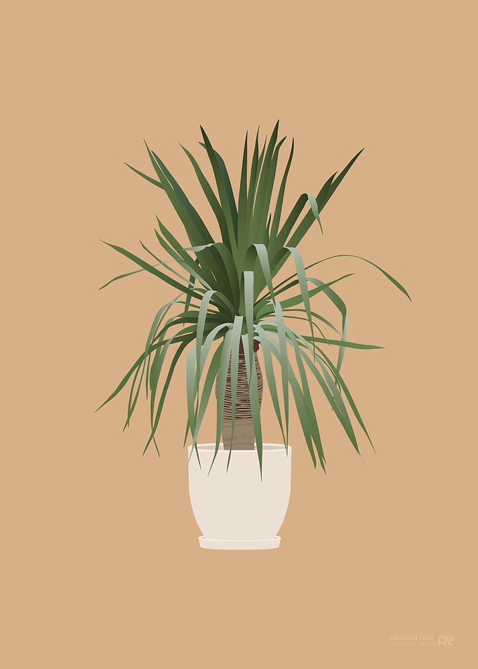 Dragon Tree Illustration