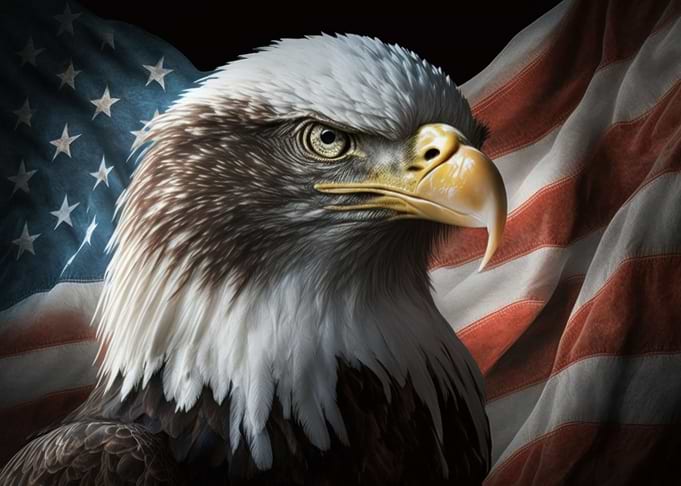 American eagle on USA flag