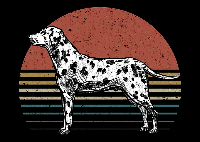 Dalmatian Retro Dog