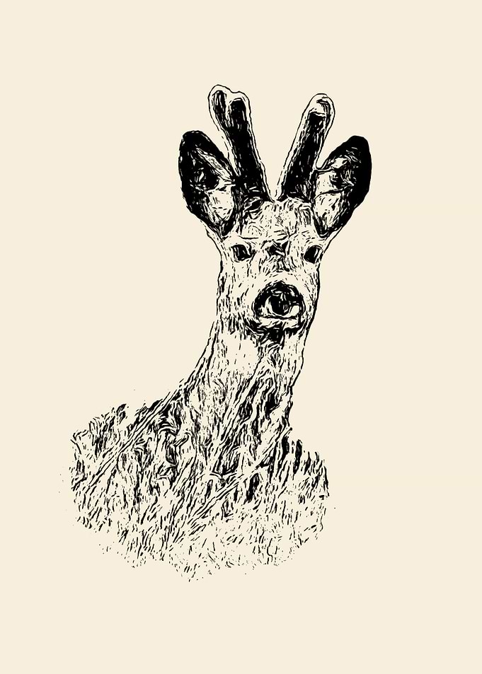 Roebuck