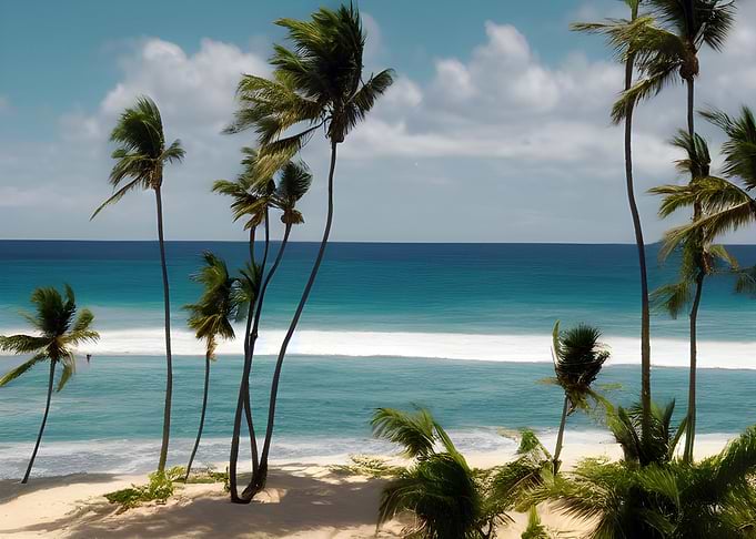 Sandy Palm Sea Beach