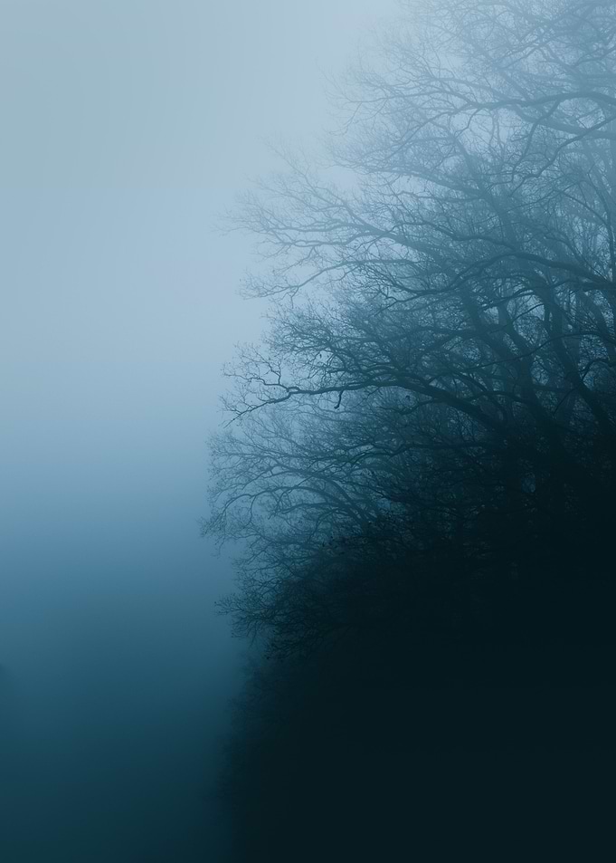Mist on the Moors