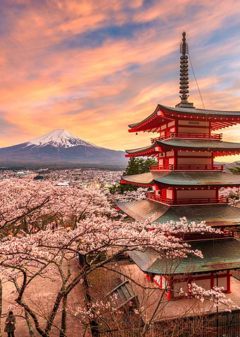 Mt Fuji and Pagoda