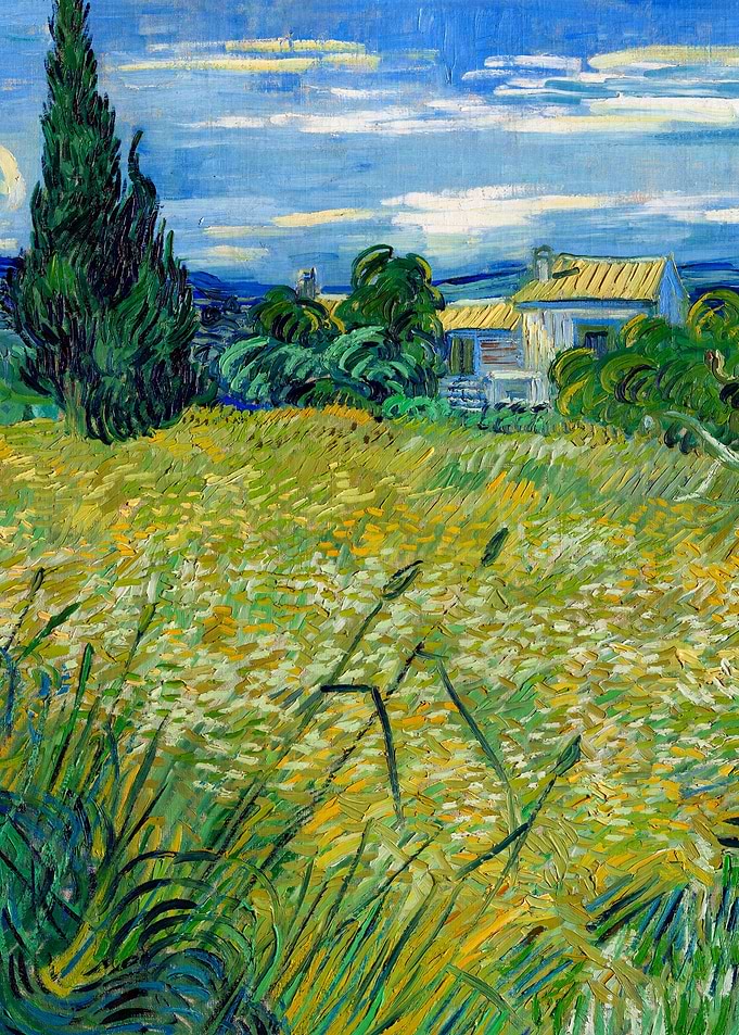 Green Wheat Field van Gogh
