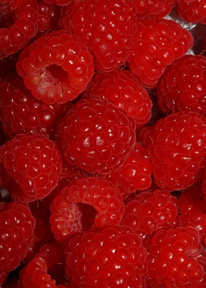 Fresh red berries close up