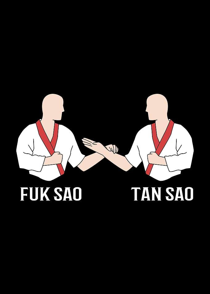 Fuk Sao Tan Sao Wing Chun