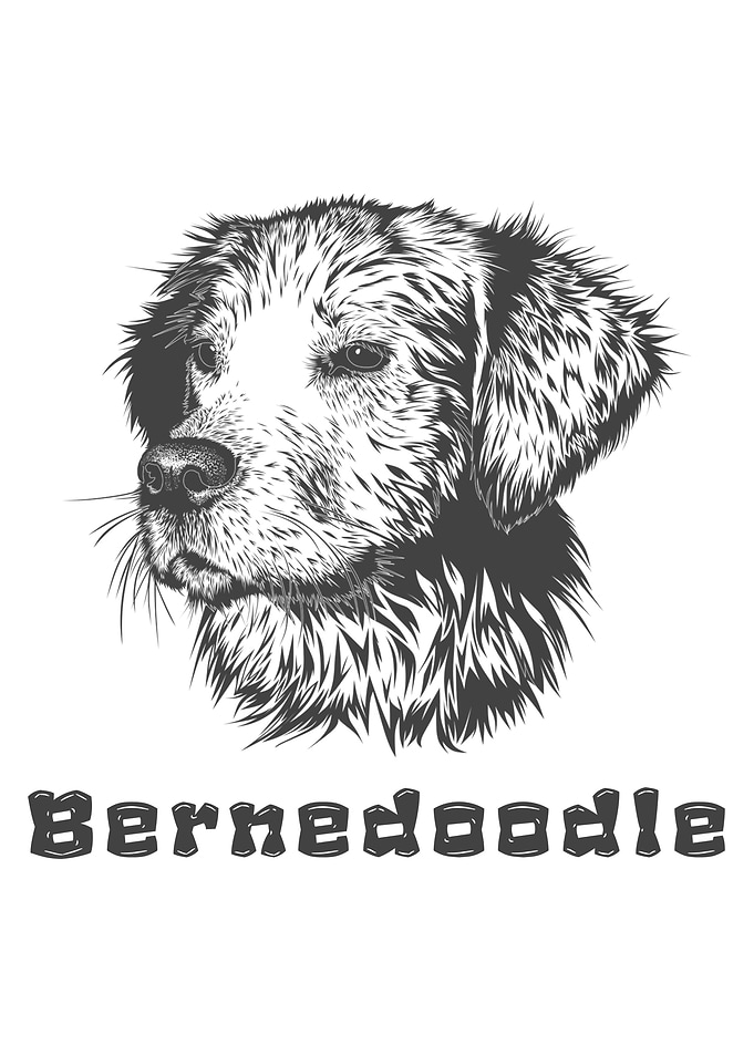 Dog Animals