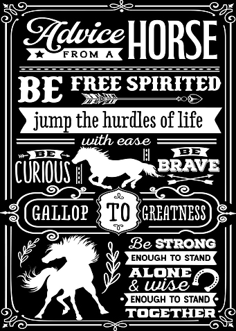 Advice From a Horse Poster