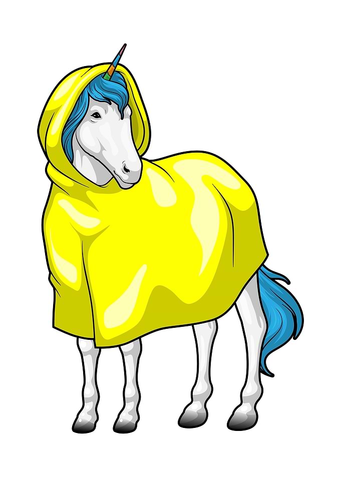 Unicorn Raincoat