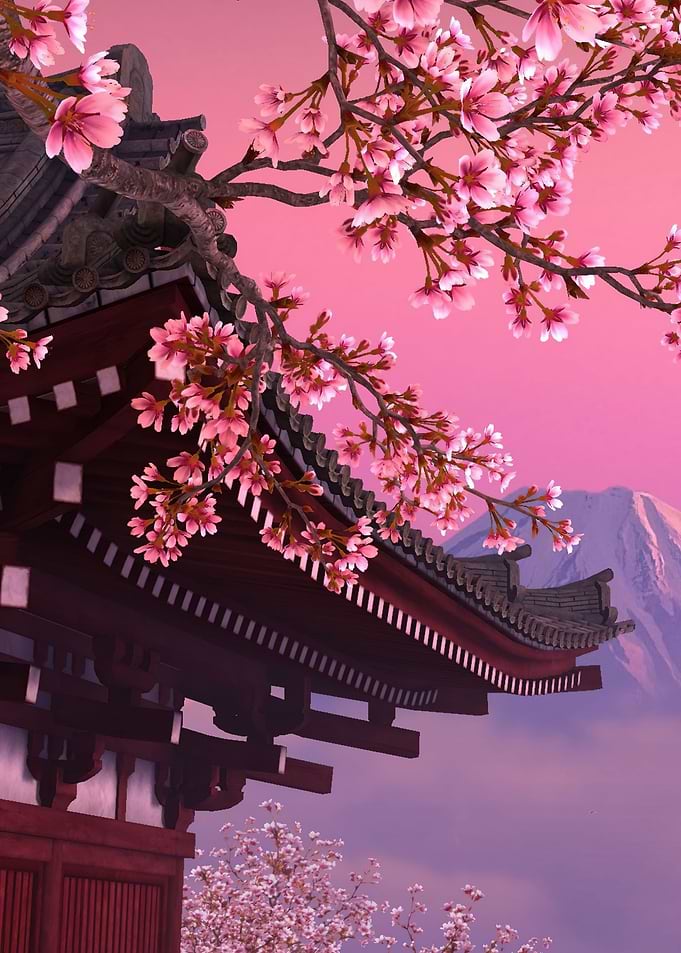 Japan Blossom Flowers