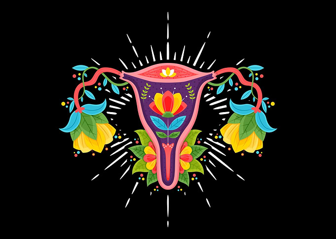 Flower Uterus Women
