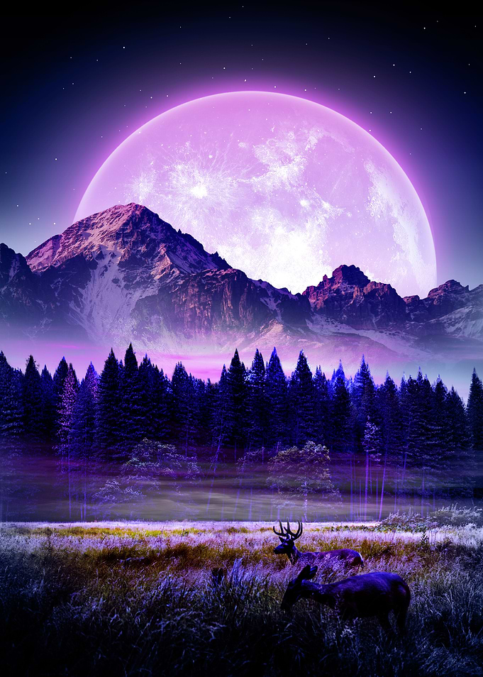 Moonlight