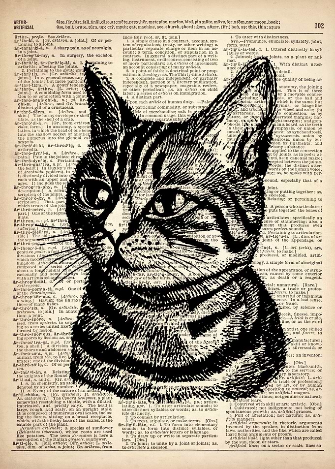 CAT DRAWING ART