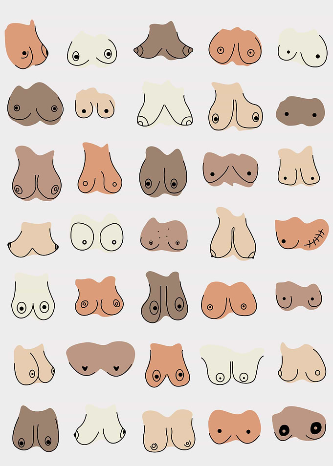 Funny boob bathroom print