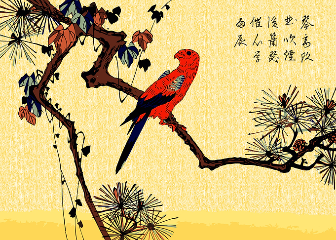 Macaw on a pine Branch