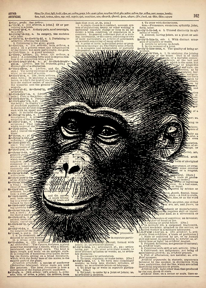 MONKEY ILLUSTRATION