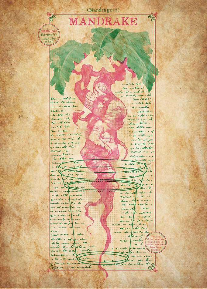 Mandrake Chart