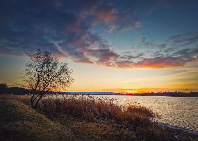 Evening scene at the lake
