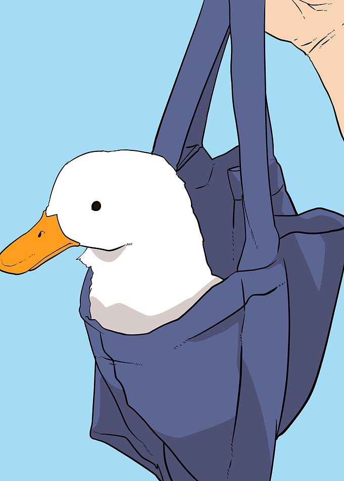 take this duck