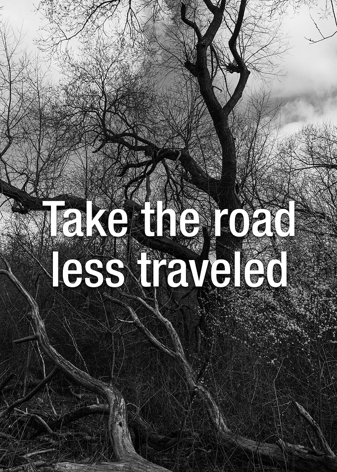 Road Less Traveled Quote