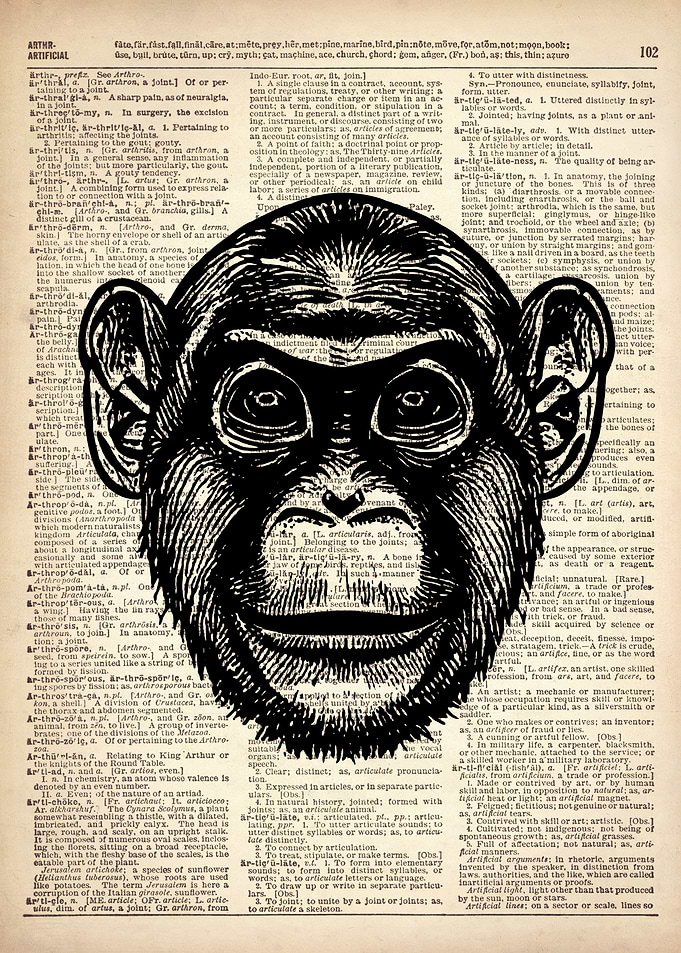MONKEY ILLUSTRATION