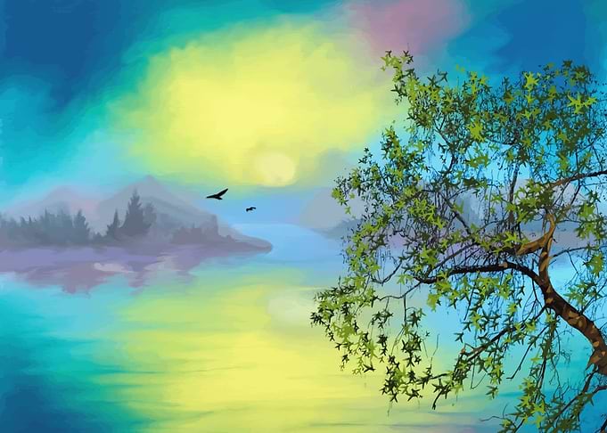 Nature Serenity