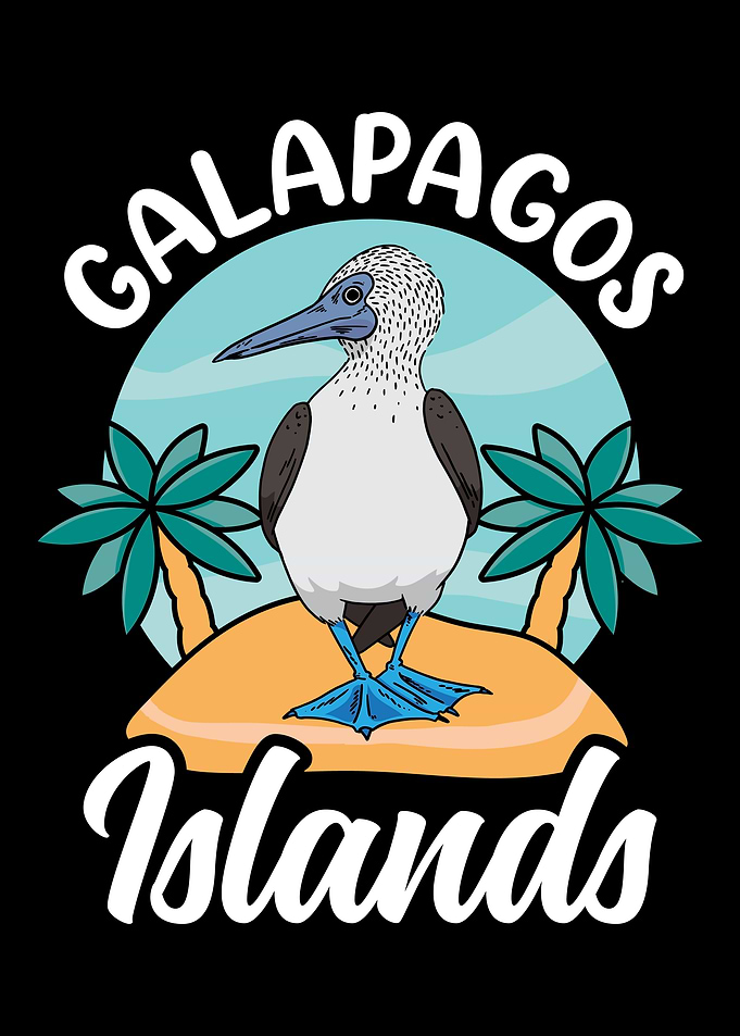 Blue Booby Bird