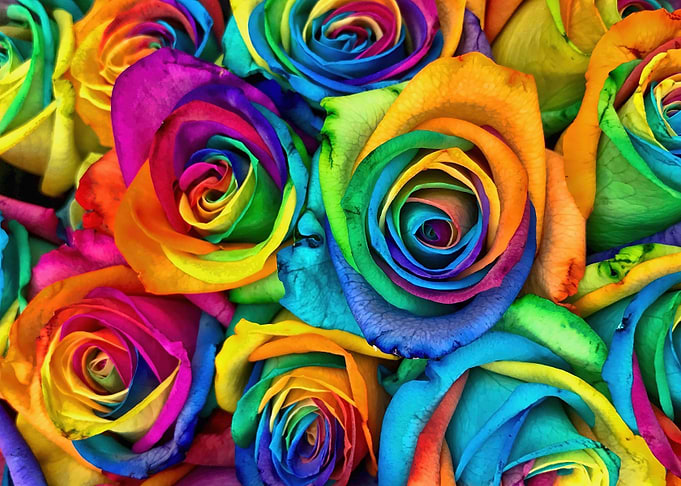 Retro Roses