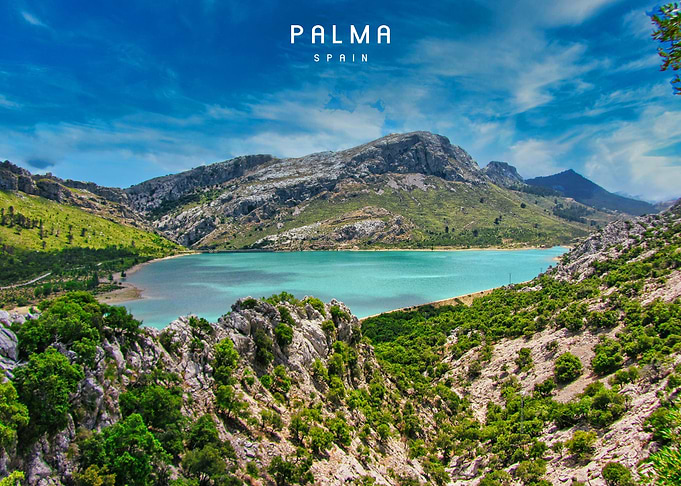 Palma