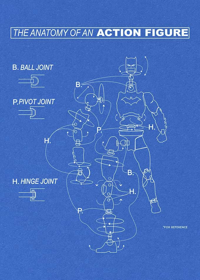 Anatomy of Action Figure