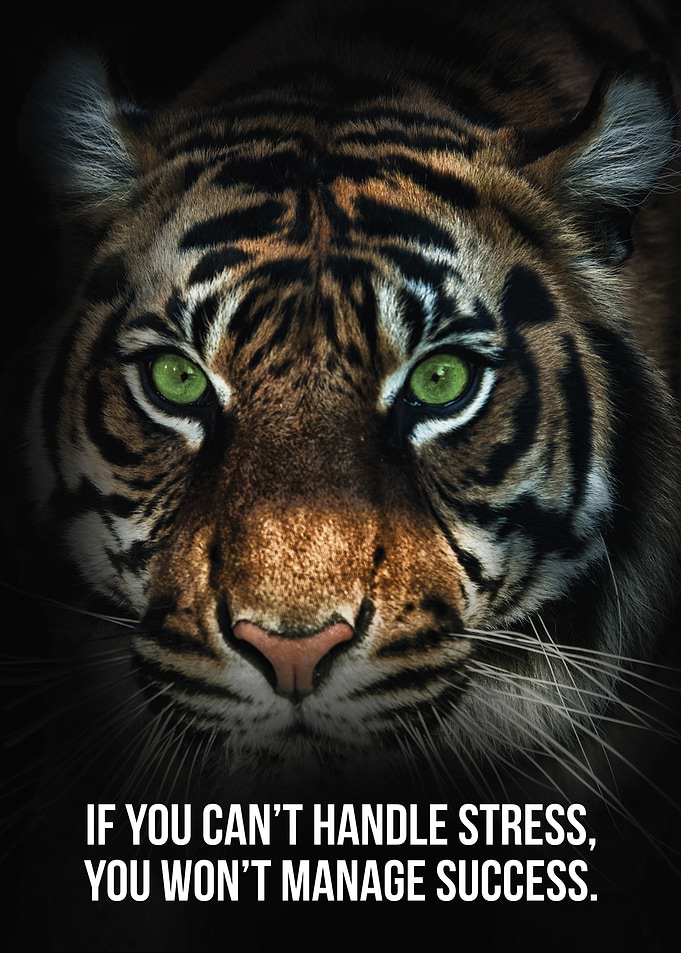 Handle Stress vs Success
