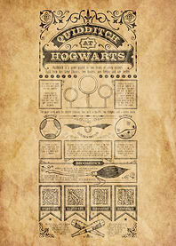 Quidditch Hogwarts Rules