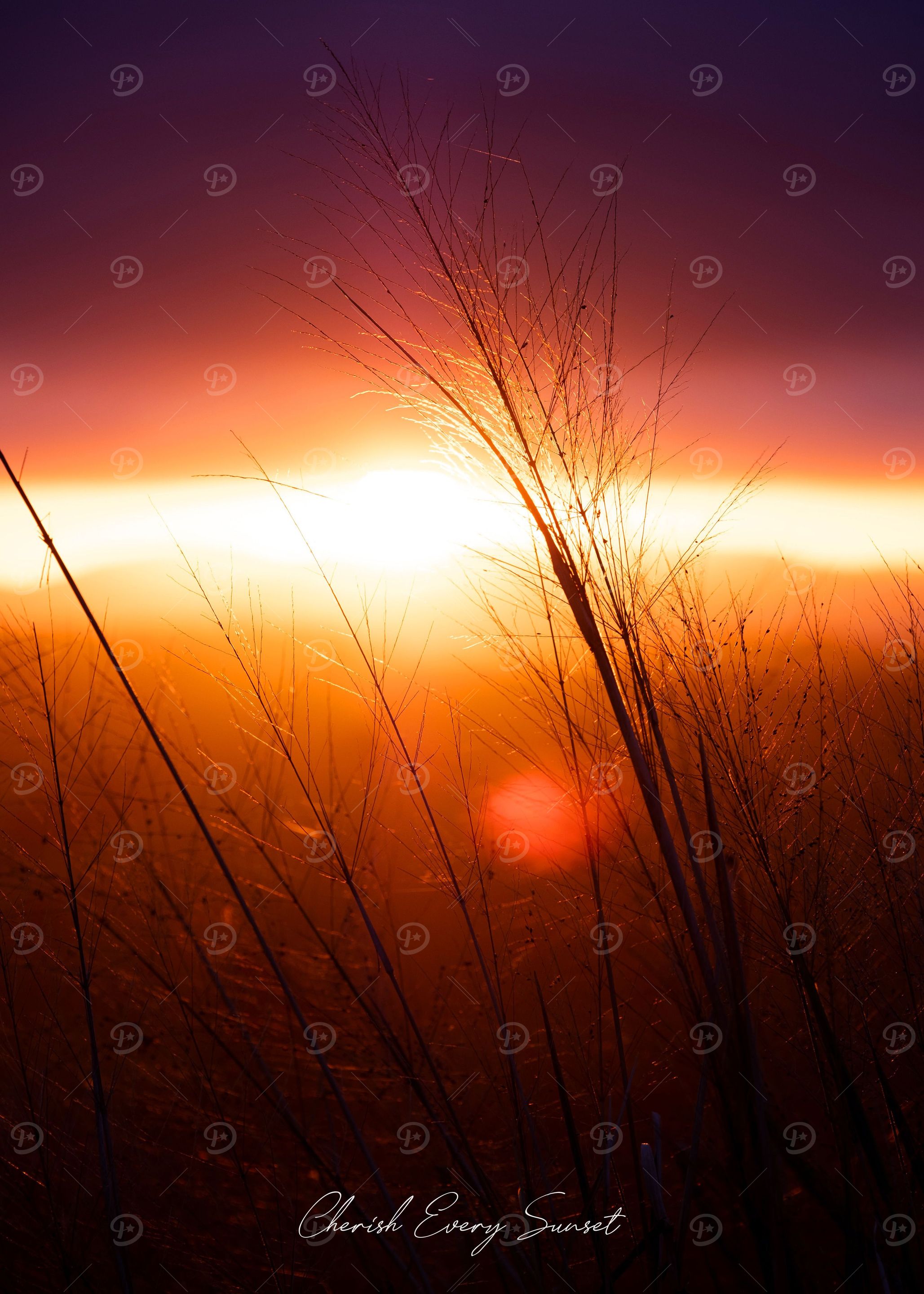 Beautiful Sunset