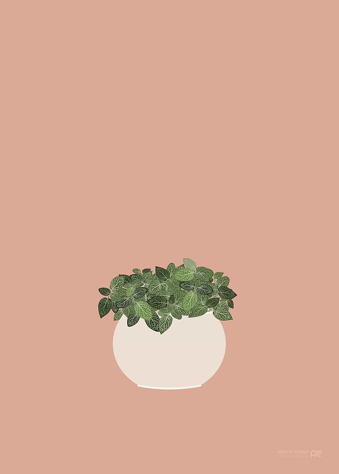Nerve Plant Illustration