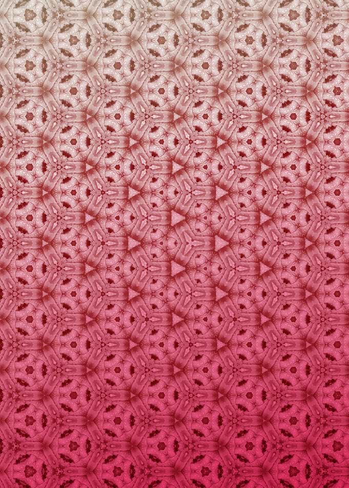 Abstract magenta flowers