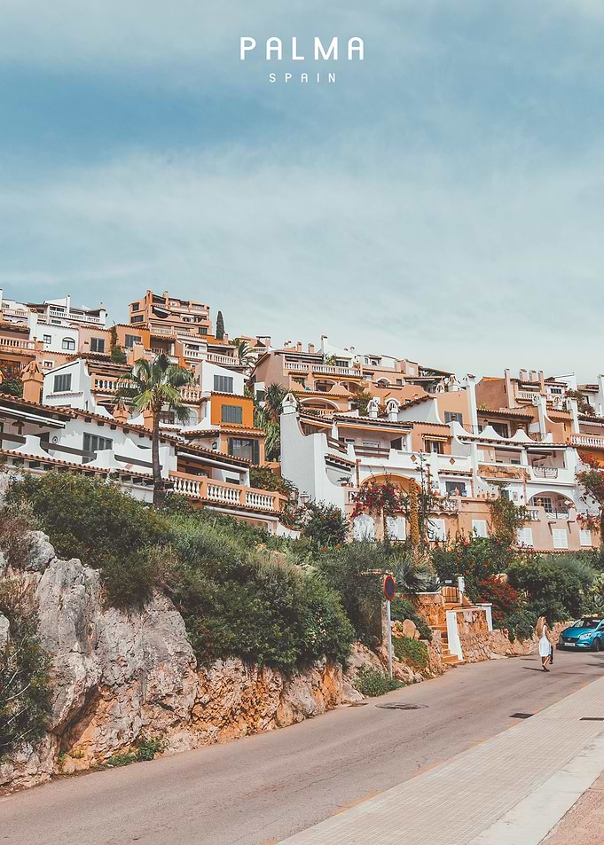 Palma