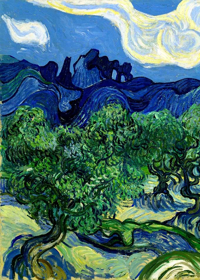 Olive Trees van Gogh