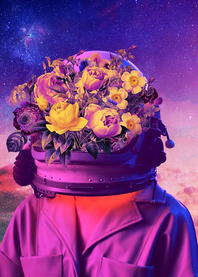 Bloom