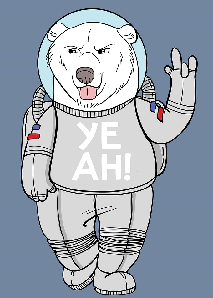 bear space