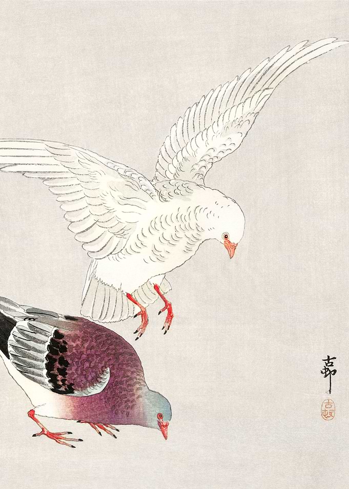 Two pigeons Ohara Koson