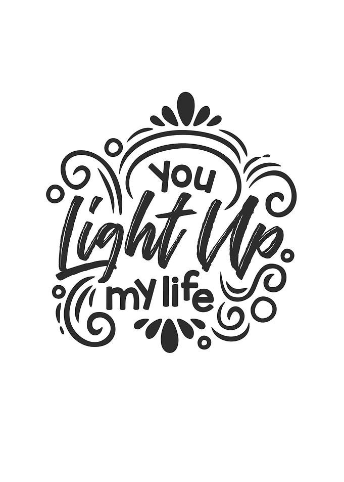 You Light Up My Life