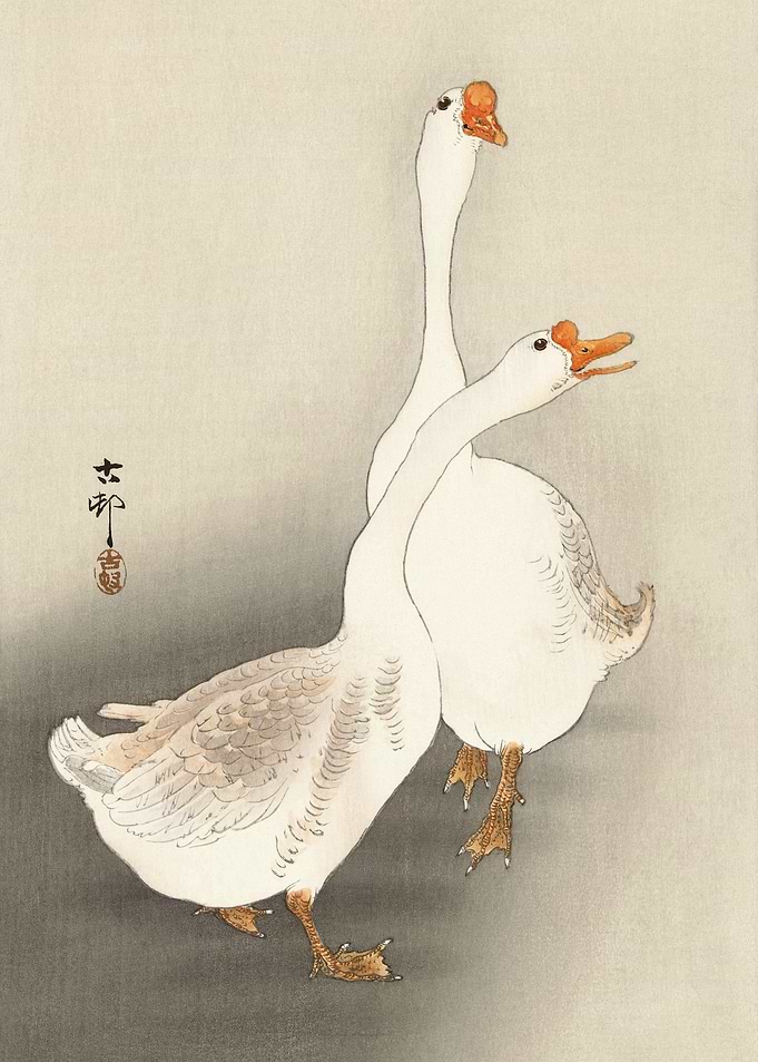 Two geese Ohara Koson