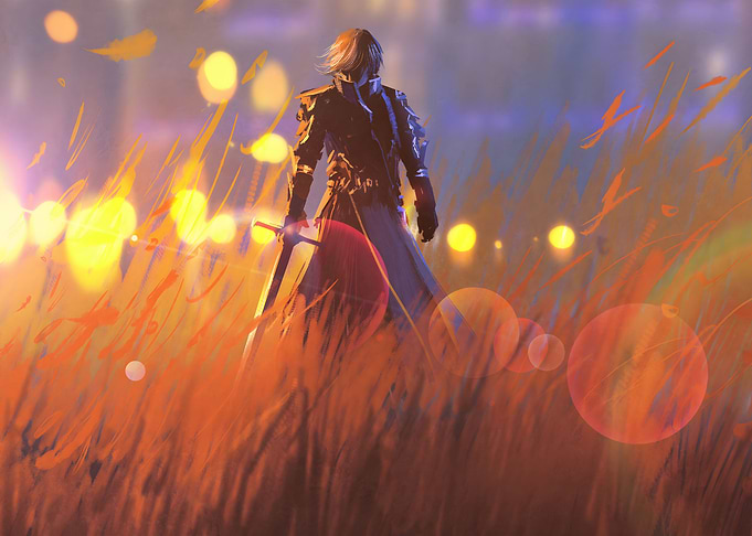 field sunset