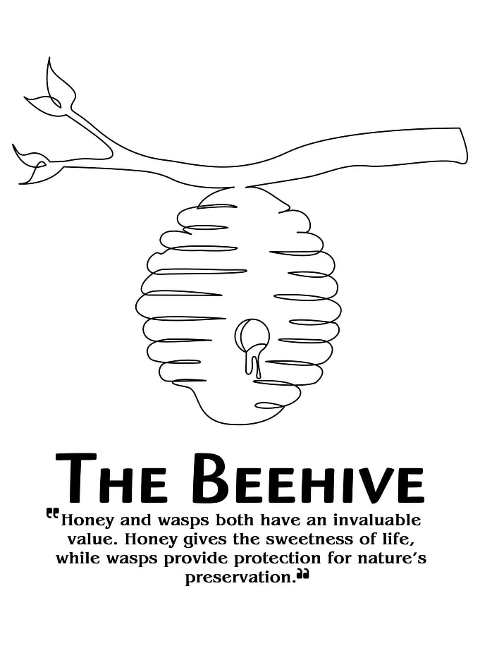 Honeycomb line drawing