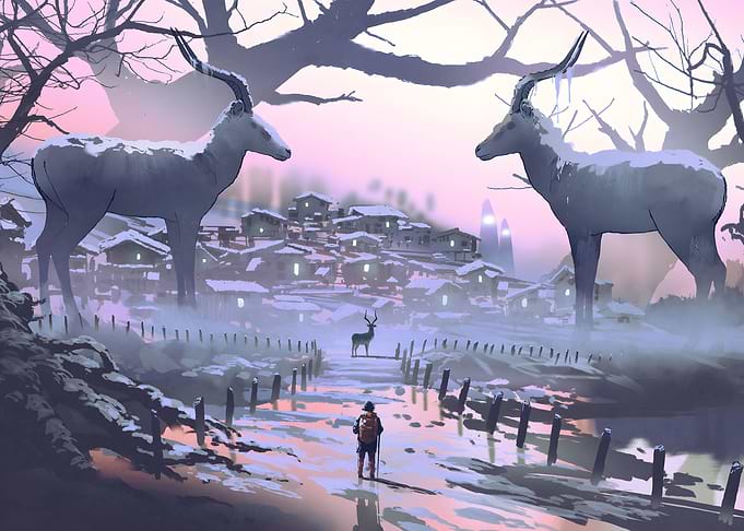 winter forest