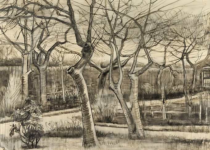 The Vicarage Garden