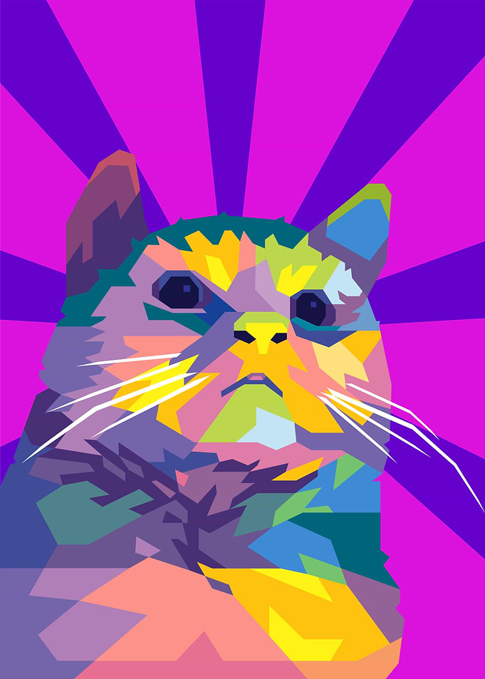 pathetic cat meme